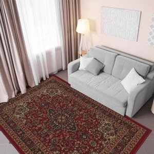 Medallion Oriental Design Non-Slip Area Rug 5x7