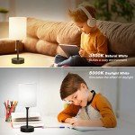 Versatile Bedside Table Lamp with USB Ports