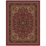 Medallion Oriental Design Non-Slip Area Rug 5x7