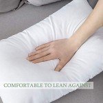 MIULEE Decorative Throw Pillow Insert 12x20 Inch