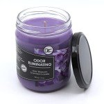 Lilac Blossom Odor Eliminating Fragrant Candle - 12 oz