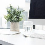 Set of 2 Eucalyptus Potted Fake Plants