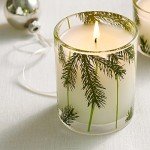 Frasier Fir Scented Pine Needle Candle 6.5 oz