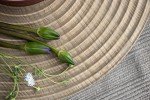 Modern Farmhouse Round Nesting Coffee Table Set