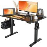 Claiks Adjustable Electric Standing Desk - Black 48x24