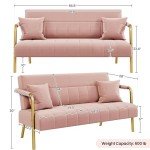 Modern Pink Velvet Loveseat Sofa with Gold Legs