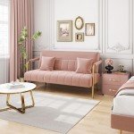 Modern Pink Velvet Loveseat Sofa with Gold Legs