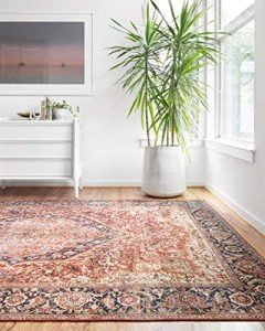 Loloi Layla Vintage Inspired Red/Navy Area Rug