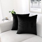 Velvet Decorative Throw Pillow Covers 18x18, Pack of 2