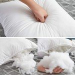 18"x18" Cotton Throw Pillow Inserts (Set of 2)