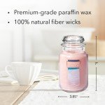 Pink Sands Scented Large Jar Candle, 22oz