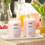 Pink Sands Scented Large Jar Candle, 22oz
