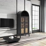 Nolan Tall Arched Storage Display Cabinet in Black Oak