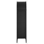 Nolan Tall Arched Storage Display Cabinet in Black Oak