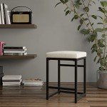 Modern 24-Inch Backless Counter Stool in Natural