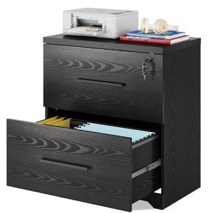 2-Drawer Black Wood File Cabinet with Lock