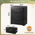 2-Drawer Black Wood File Cabinet with Lock