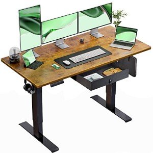 Marsail 48” Adjustable Electric Standing Desk