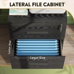 2-Drawer Black Wood File Cabinet with Lock