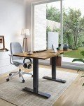 Marsail 48” Adjustable Electric Standing Desk