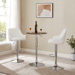 Adjustable Bar Stools Set of 4 with Back
