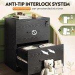2-Drawer Black Wood File Cabinet with Lock