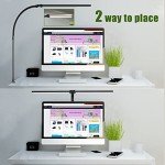 Ksunun Double Head LED Desk Lamp with Dimming