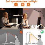 Ksunun Double Head LED Desk Lamp with Dimming