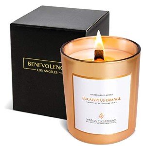 Eucalyptus Orange Wood Wick Soy Candles - 8 Oz