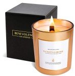Eucalyptus Orange Wood Wick Soy Candles - 8 Oz