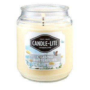 Chasing Butterflies Aromatherapy Candle - 18 oz