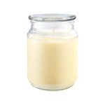 Chasing Butterflies Aromatherapy Candle - 18 oz