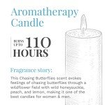 Chasing Butterflies Aromatherapy Candle - 18 oz
