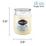 Chasing Butterflies Aromatherapy Candle - 18 oz