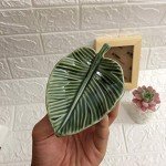 Leaf Decorative Trinket Dish for Jewelry Storage