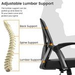 Adjustable Black Mesh Office Chair with Lumbar Support