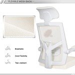 Ergonomic Mesh Office Chair with Footrest and Headrest