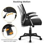 Adjustable Black Mesh Office Chair with Lumbar Support