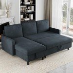 Shintenchi 2-in-1 Pull-Out Sofa Bed with Storage