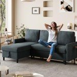 Shintenchi 2-in-1 Pull-Out Sofa Bed with Storage