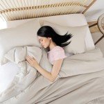 Beige Queen Size Comforter Set with Pillowcases