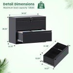 Aobabo Black 2-Drawer Metal File Cabinet