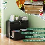 Aobabo Black 2-Drawer Metal File Cabinet
