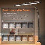 LED Desk Lamp with Flexible Gooseneck and Dimming