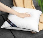 Set of 4 White 18x18 Throw Pillow Inserts