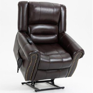 Trustyue Dual Motor Power Lift Recliner Chair
