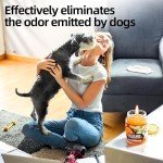 MicCai Orange & Vanilla Odor Eliminating Candles