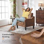 Cozy Mid Century Modern Accent Chair