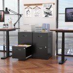 Black Metal 2-Drawer Locking File Cabinet