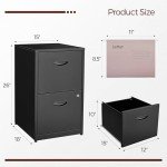Black Metal 2-Drawer Locking File Cabinet